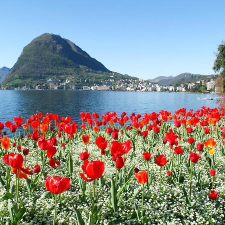 Prestige Du Lac 27 - Happy Rentals Lugano Dış mekan fotoğraf